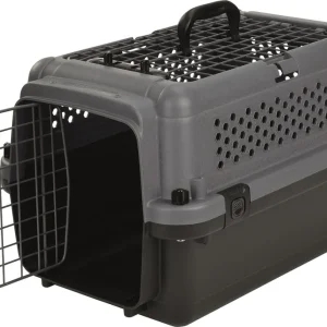 AniOne Transportbox XS Beliebt
